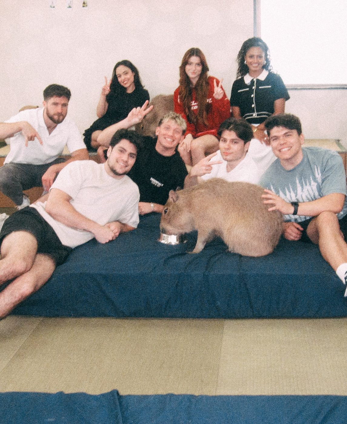 The whole crew, Japan
